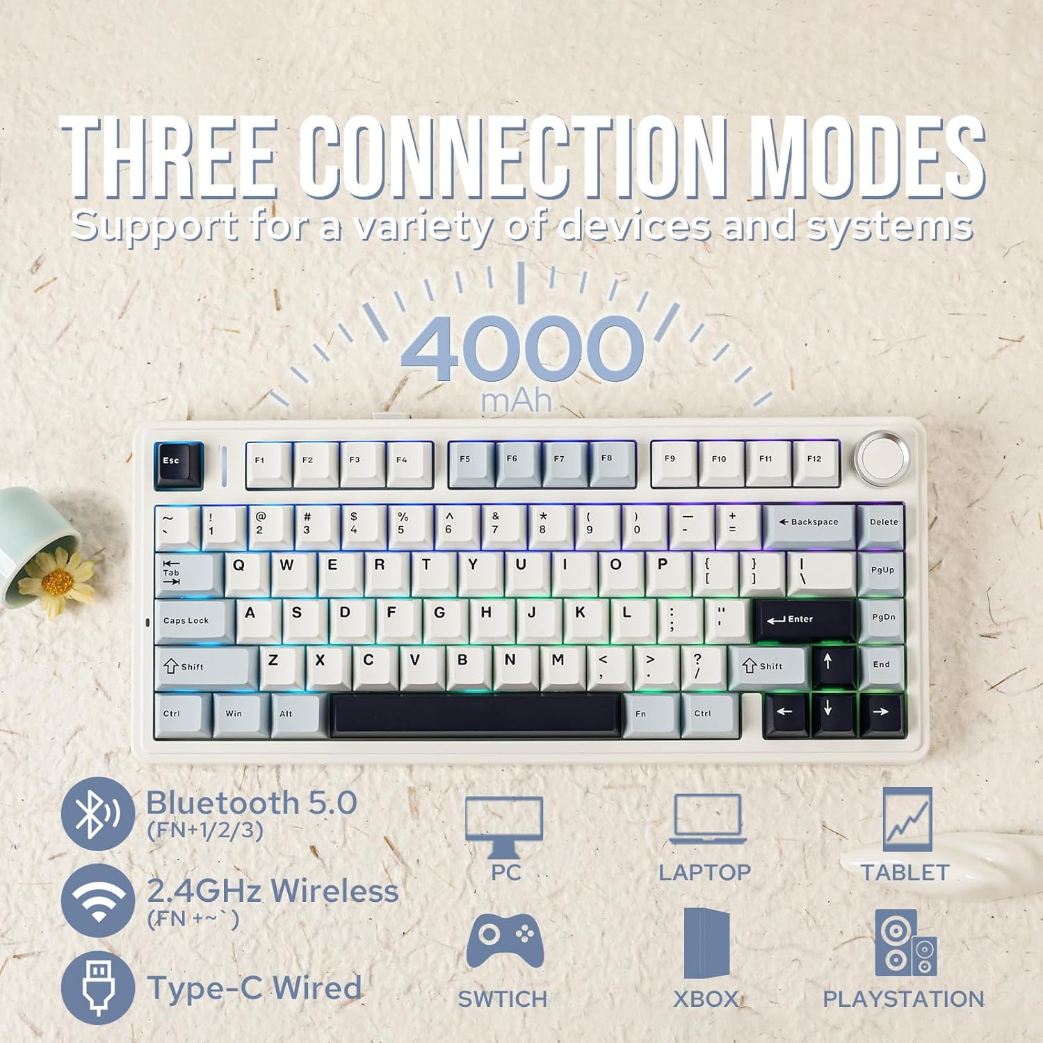 Aula F75 Mechanische Tastatur  – Gaming Keyboard Hot Swappable Bewertung und Preis